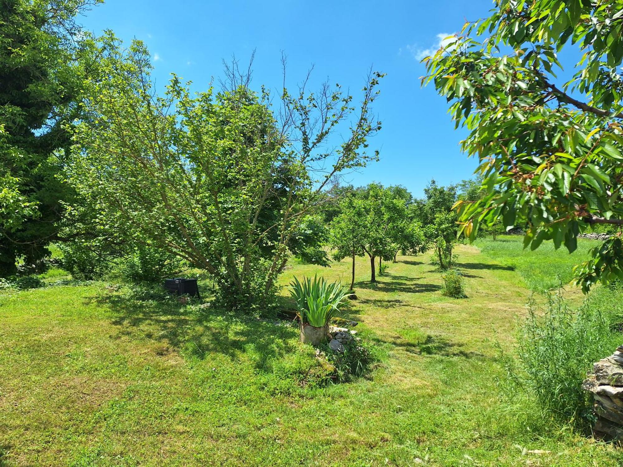 Villa Malini Grožnjan Екстериор снимка