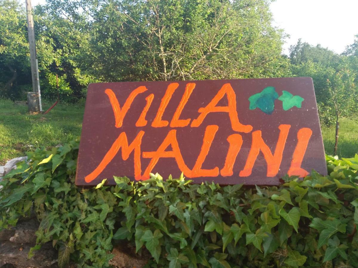 Villa Malini Grožnjan Екстериор снимка